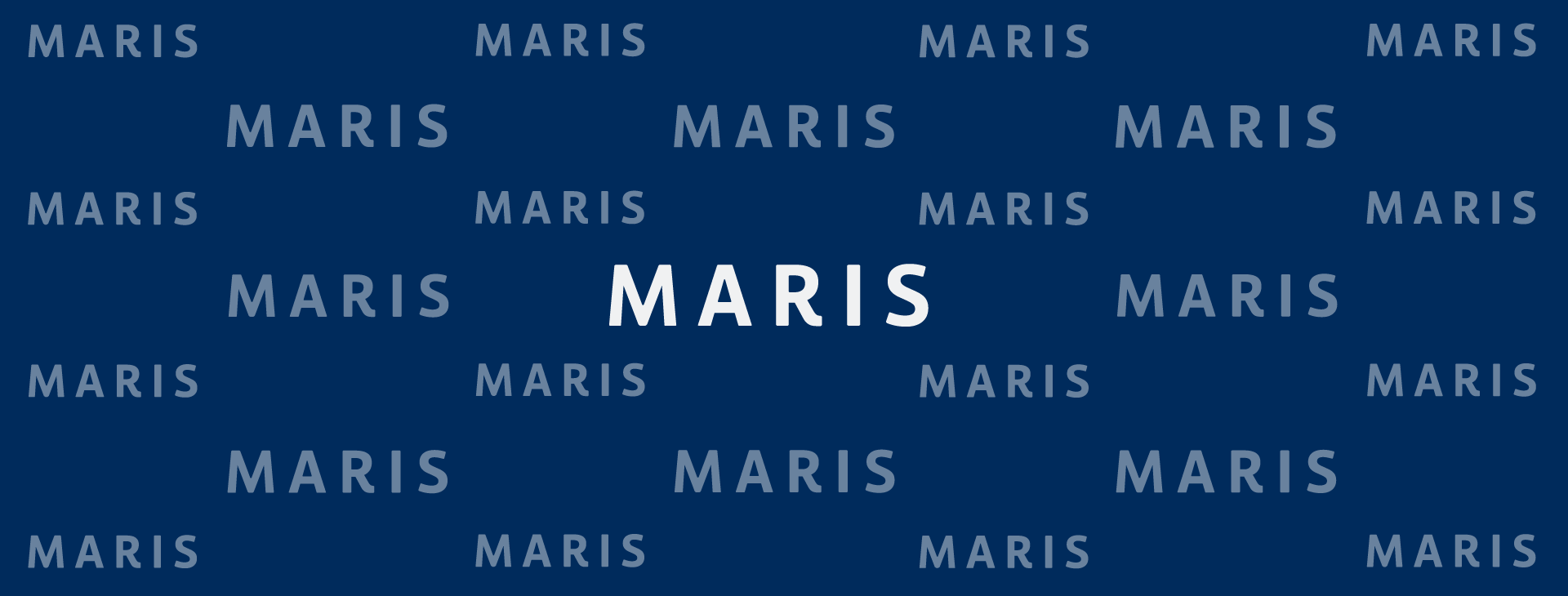 Image for PR: MARIS Appoints External Board Members to Provide Industry Perspective